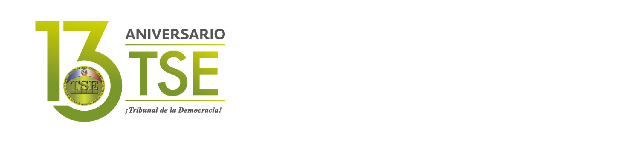 Logo TSE 13 Aniversario